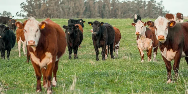 “The Evolution of Economía: From Barter to Global Economy”