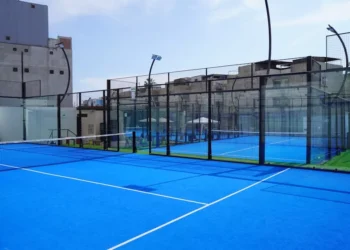 “The Power of Sports: Beyond Physical Fitness”