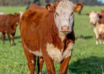 “The Impact of : A Key Aspect of Daily Life”