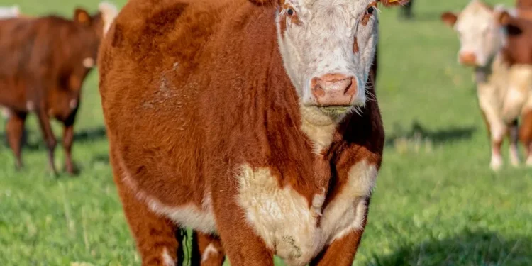 “The Impact of : A Key Aspect of Daily Life”