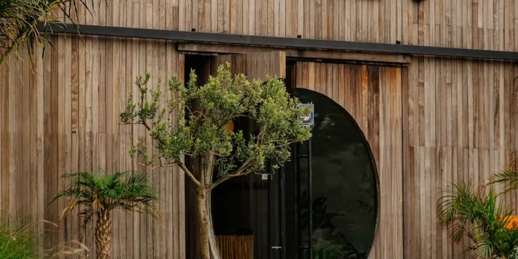 “Discovering the Bright Side of Economía: Insights from Jan Ryde”