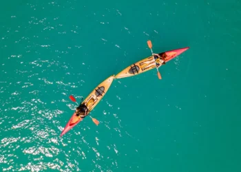 “The Enduring Impact of Sports on Human Society”