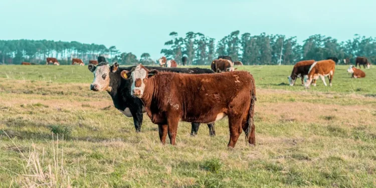 “La : The Key to Society’s Well-Being”