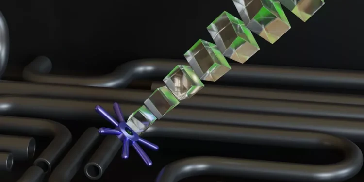 “The Power of Programming in Today’s Digital World”