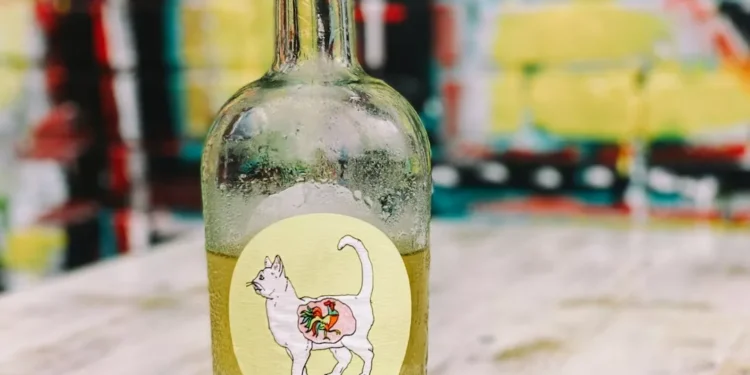 “Experience the Vibrant Charm of Salud, Venezuela’s Capital City”