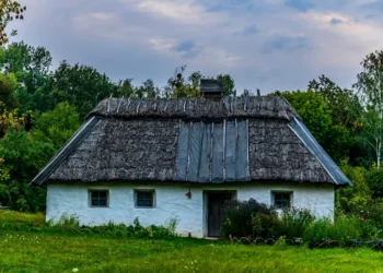 “Changing Perceptions: The Evolution of Economics”