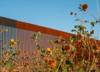 “Who’s Willing to Get Arrested?” Immigrant Activists Ready for Trump Deportation Plans