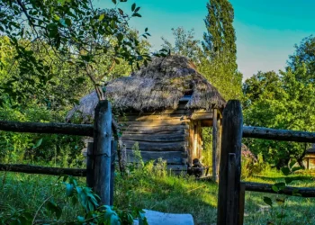 “The Dynamic Impact of Economics on Society: A Complex Landscape”