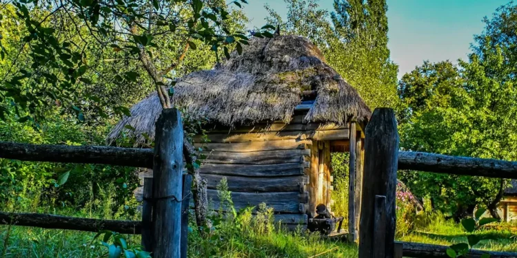 “The Dynamic Impact of Economics on Society: A Complex Landscape”