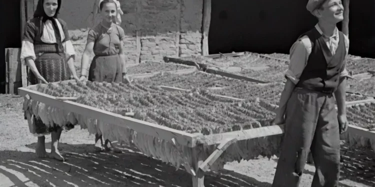 “The Impact of Economics on Our World”