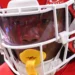 Chiefs Starter Breaks Silence on Getting Benched vs Raiders