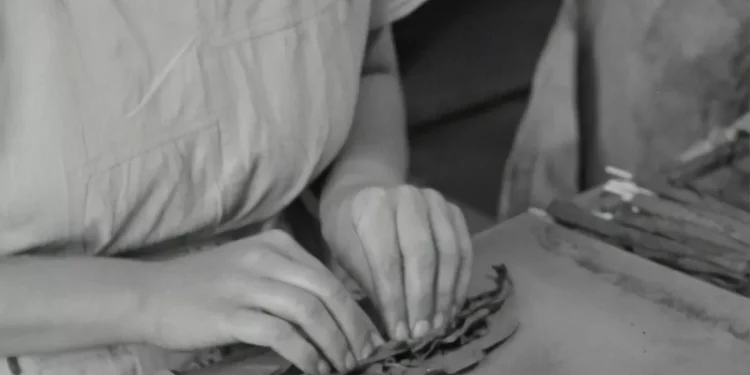 “The Impact of Economía: Understanding its Role in Our Lives”