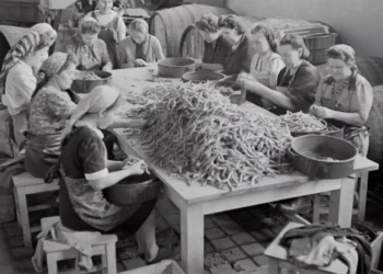 “The Transformative Power of Economics: Understanding Society’s Resources and Decisions”