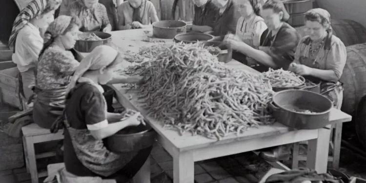 “The Transformative Power of Economics: Understanding Society’s Resources and Decisions”