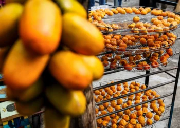 Taiwan’s persimmon farmers struggle with climate, declining yields