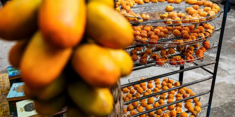 Taiwan’s persimmon farmers struggle with climate, declining yields