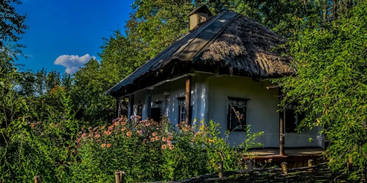 “The Evolution of Economies: From Barter to Global Markets”