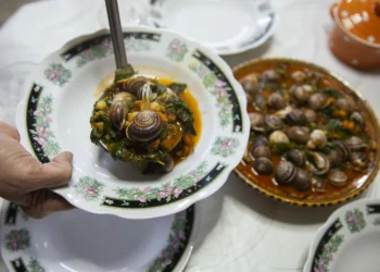 Affordable and nutritious, snails gain popularity in Tunisian markets