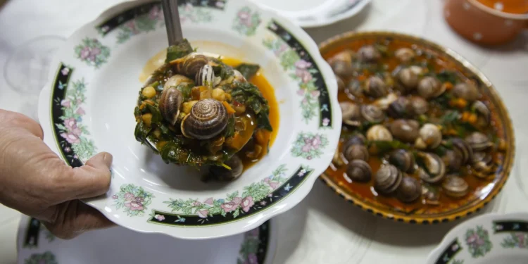 Affordable and nutritious, snails gain popularity in Tunisian markets