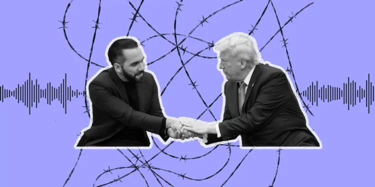 She Exposed Government Abuse. Now She’s Locked up in an El Salvador Prison. 