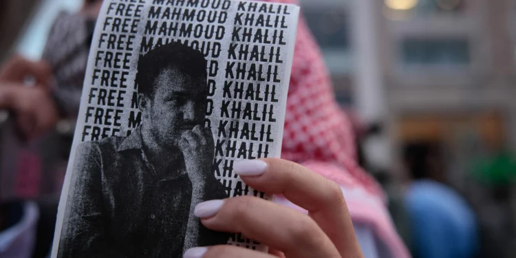 Government Lawyers Trying to Deport Mahmoud Khalil Won’t Stop Whining