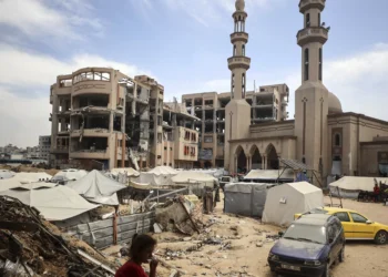 Students and Teachers in Gaza: “Education Itself Is a Form of Defiance”