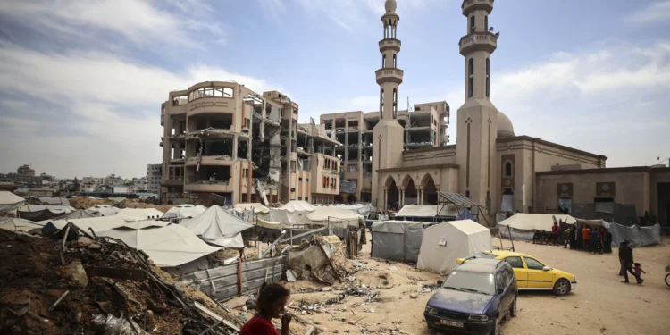 Students and Teachers in Gaza: “Education Itself Is a Form of Defiance”