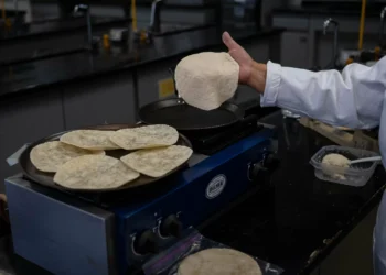 No fridge needed: This Mexican tortilla stays fresh for weeks