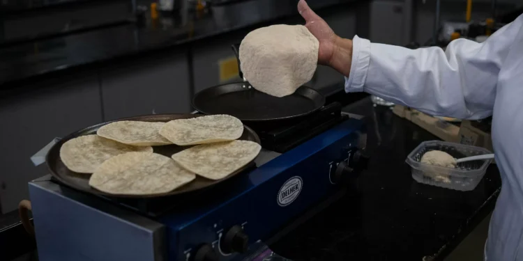 No fridge needed: This Mexican tortilla stays fresh for weeks