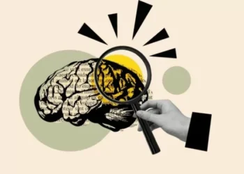 Neurolearning: How The Brain’s Ancient Storytelling Circuits Drive eLearning Success
