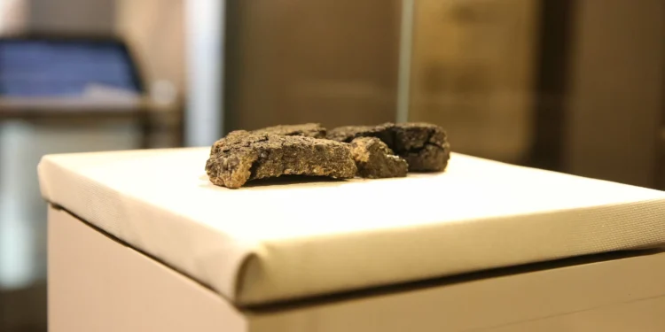 5,000-year-old bread unearthed in central Türkiye reproduced for sale