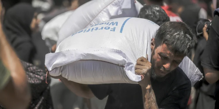 Israeli Soldiers Killed at Least 410 People at Food Aid Sites in Gaza This Month