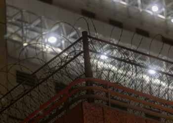 Trans People Have Disappeared From ICE Records, Against Congressional Orders