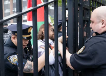 Four CUNY Professors Say They Were Fired for Supporting Palestine