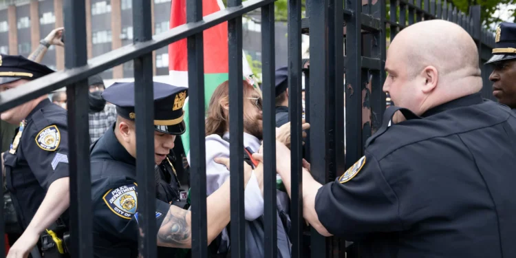 Four CUNY Professors Say They Were Fired for Supporting Palestine