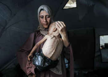 Gaza Humanitarian Foundation Head Boasts Success as Palestinians Starve