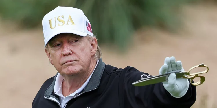 Donald Trump Is Mostly a Crypto Billionaire Now, Group Says