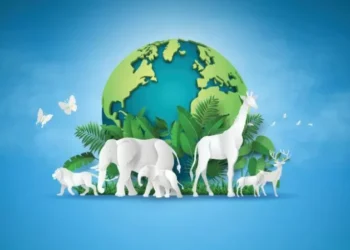 World Animal Day 2025: 4 Ways Companies Can Honor Animals Year-Round