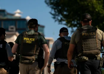 ICE Investigations, Powered by Nvidia