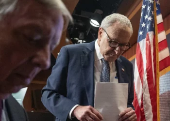 Key Senate Dem Says Party Caved on Shutdown to Make a Symbolic Point About the GOP