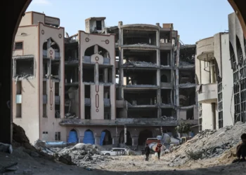 Gaza’s Students Kept Studying Amid the Rubble. Now Universities Hope to Rebuild.