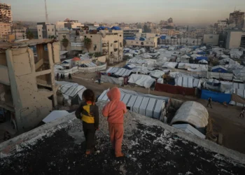 Reuniting With Family in Gaza During the Break Between Bombings