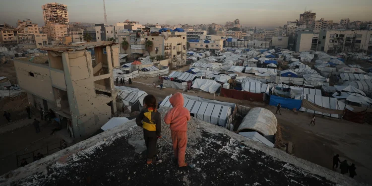 Reuniting With Family in Gaza During the Break Between Bombings