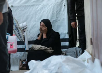 Keep Talking About Gaza at Your Thanksgiving Table