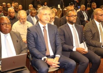 Reforming Angola’s Electricity Sector: João Baptista Borges Advances Governance, Efficiency and System Stability