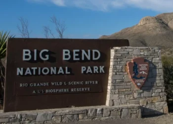National Parks Service to remove invasive ‘salt cedar’ trees from Big Bend National Park