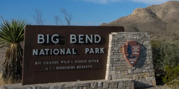 National Parks Service to remove invasive ‘salt cedar’ trees from Big Bend National Park