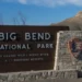 National Parks Service to remove invasive ‘salt cedar’ trees from Big Bend National Park