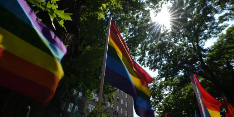 Stonewall pride flag removal sparks lawsuit